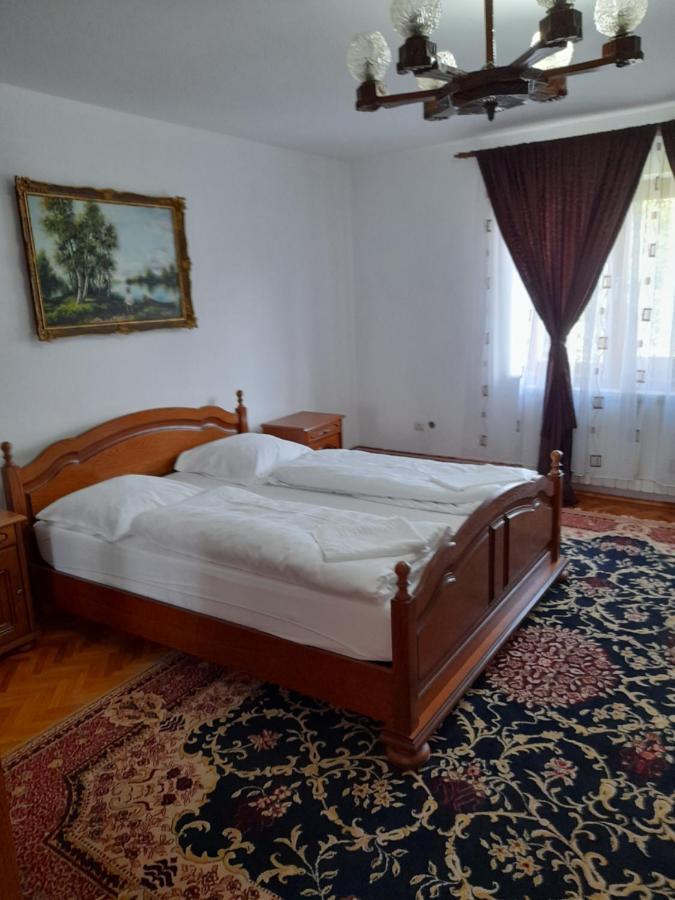 מלון Haţeg Casa Miki מראה חיצוני תמונה