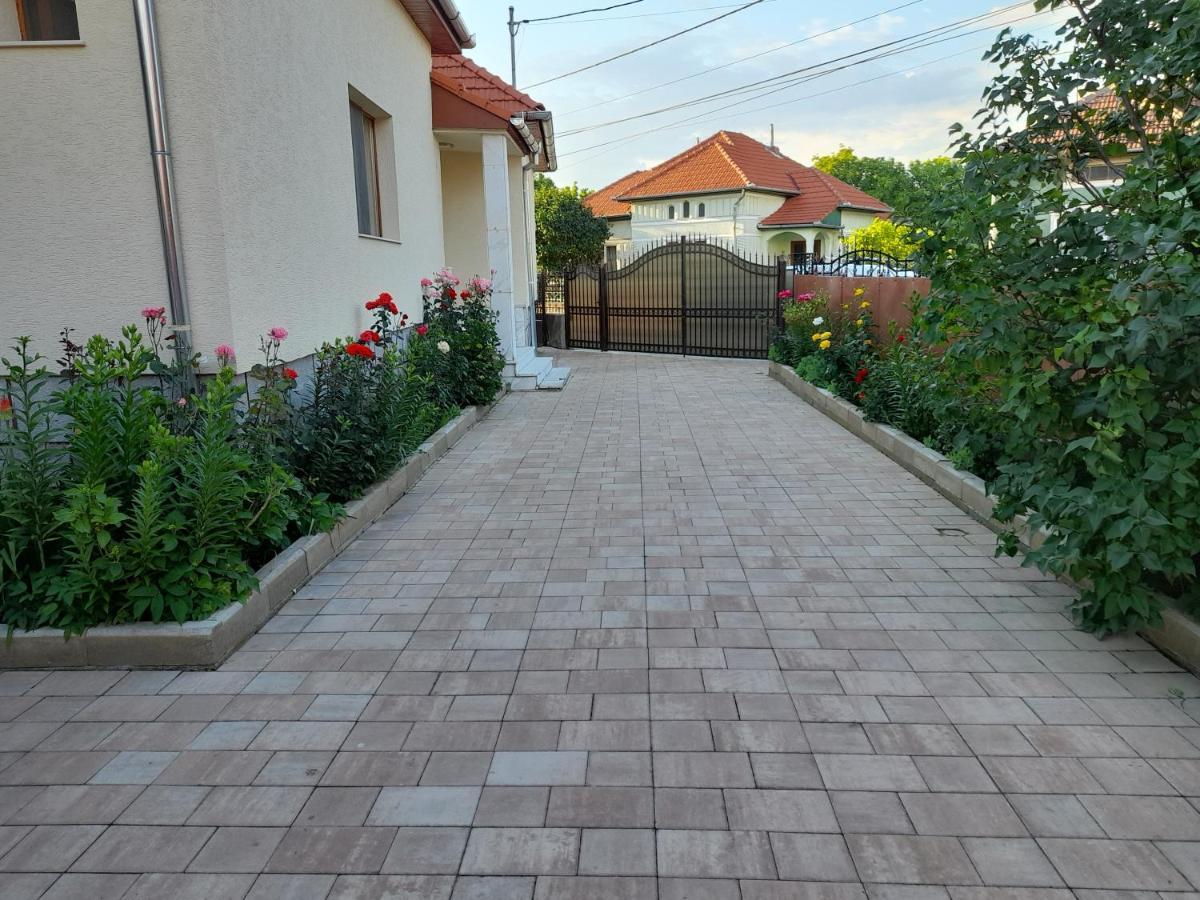 מלון Haţeg Casa Miki מראה חיצוני תמונה