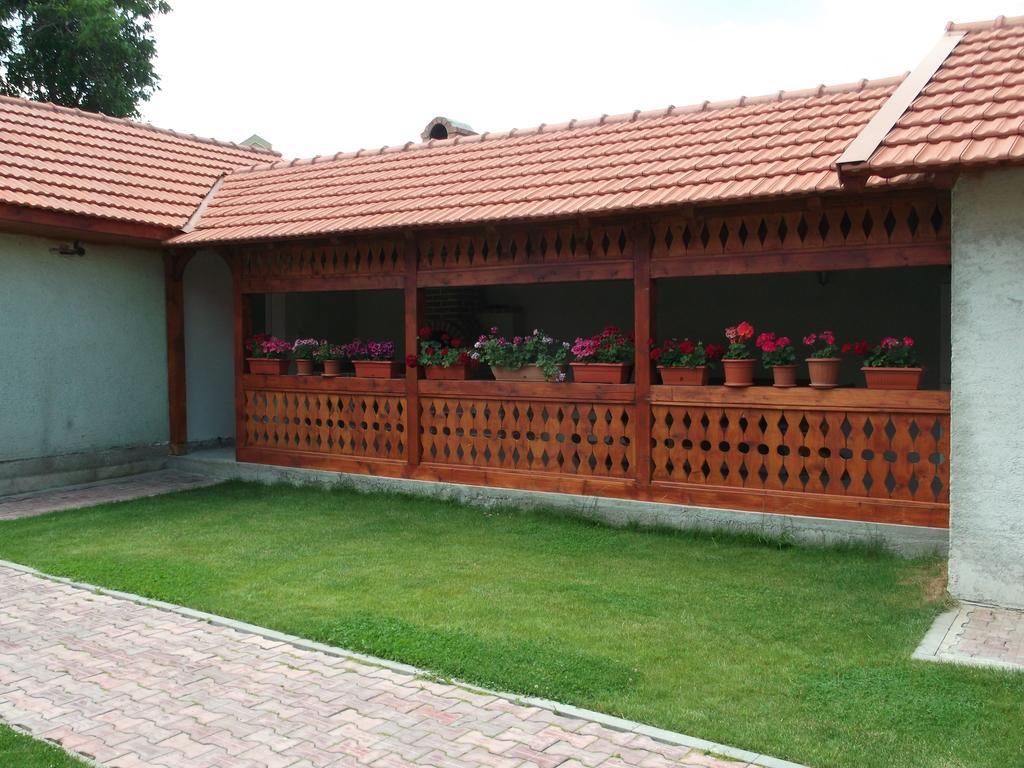 מלון Haţeg Casa Miki מראה חיצוני תמונה